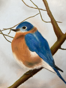 Blue Bird on a Branch 5
