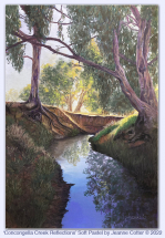 Concongella Creek Reflections pastel painting by Jeanne Cotter. 500 x 700mm framed. $1500. Reproduction prints and canvases available on request.