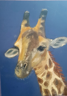 Giraffe by Christine T