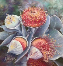 Gum Nuts in Grey pastel painting by Jeanne Cotter. 300 x 300mm framed. SOLD. Reproduction prints and canvases available on request.