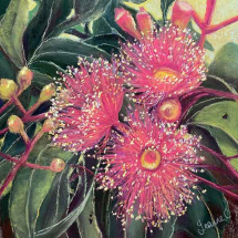 Gum Blossoms Pink pastel painting by Jeanne Cotter. 300 x 300mm framed. $450. Reproduction prints and canvases available on request.