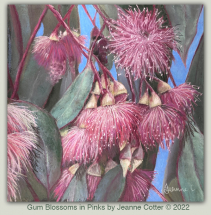 Gum Blossom Pinks pastel painting by Jeanne Cotter. SOLD. Reproduction prints and canvases available on request.