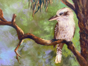 Kookaburra pastel painting by Jeanne Cotter. SOLD