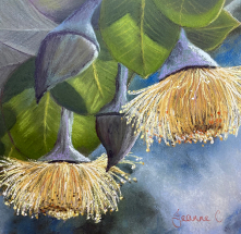 Morning Light Gum Blossoms pastel painting by Jeanne Cotter. SOLD. Reproduction prints and canvases available on request.