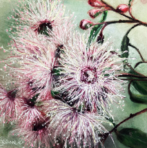 Pale Pink Blossom Cluster pastel painting by Jeanne Cotter. 290 x 290mm. $220 framed. Reproduction prints and canvases available on request.