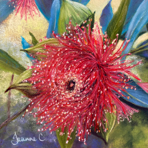 Red Glory Gum Blossom pastel painting by Jeanne Cotter. 290 x 290mm. $220 framed. Reproduction prints and canvases available on request.