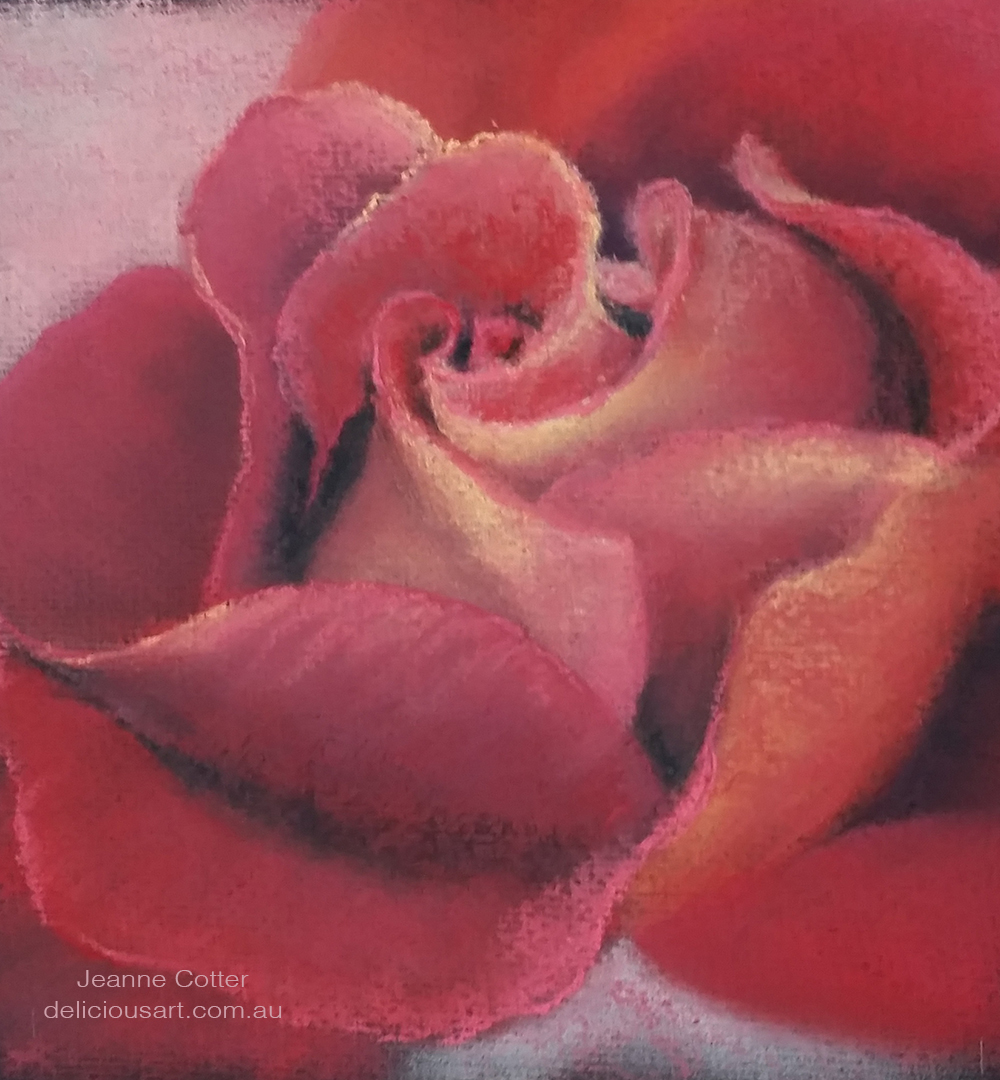 Rose by Jeanne Cotter