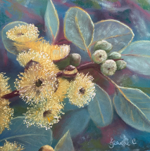 Yellow-Blossoms-out-of-the-Blue by Jeanne Cotter. 290 x 290mm. $220 framed. Reproduction prints and canvases available on request.